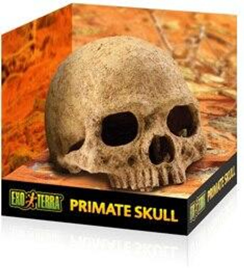 Exo Terra Exo Terra Primate Skull Hide Large