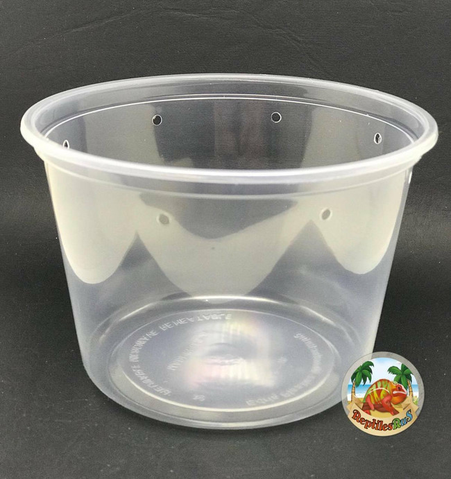 All Things Reptile Opaque 4.5 Pre-punched Deli Cup 16oz 10 PACK