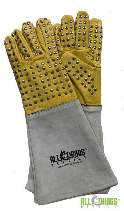 All Things Reptile ATR Reptile Handling Gloves With Metal Studs
