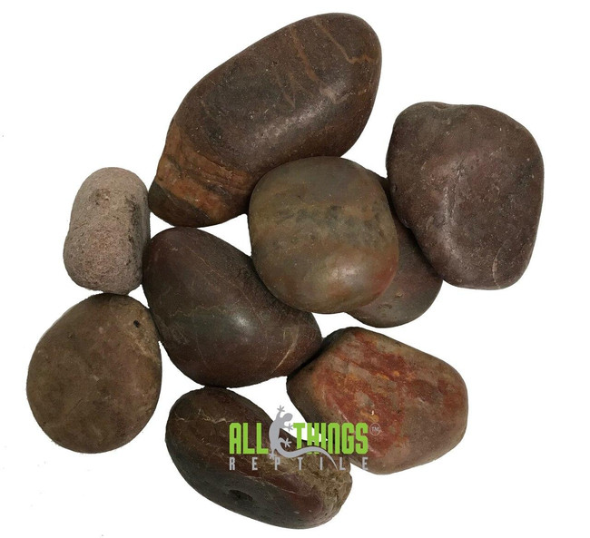 All Things Reptile River Pebbles Medium Appr 2.25lbs