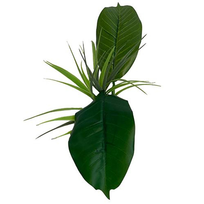  Komodo Woodland Canopy 10" Decorative Plant 