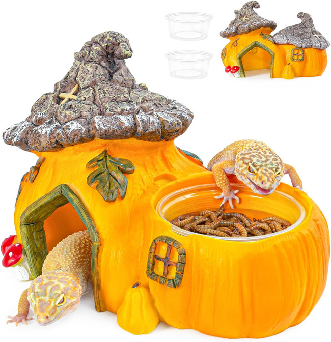 ReptiZoo Multifunctional Pumpkin Castle