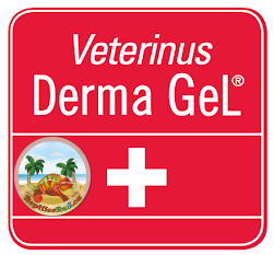 Veterinus