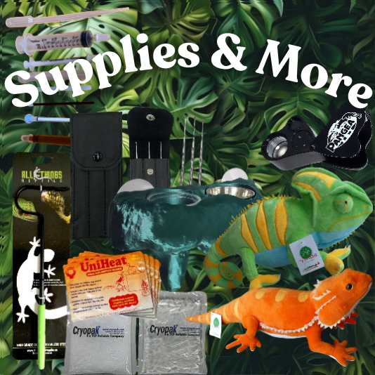 Supplies & More image