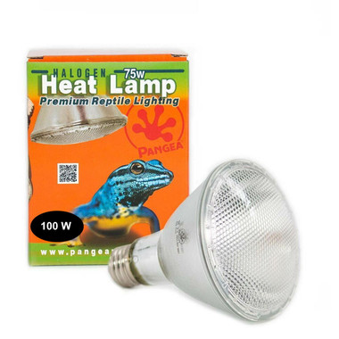 Reptile Heat Bulb Pangea 75W Halogen Heat Lamp For Reptiles UVA