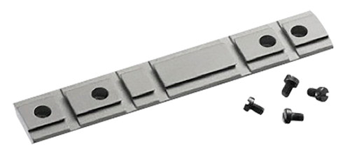 Ruger 10/22 Rail SS