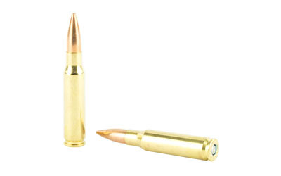 Federal Gold Match, 308 Win, 175gr