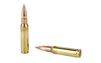 Fiocchi, Shooting Dyn., 308 Win, 150gr