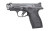 Smith & Wesson Bodyguard 2.0 PC