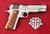 Kimber Stainless LW