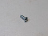 Webster Bearing Plate Screw