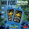 MR. FOG NOVA Steezy Blue Razz Edition displayed at NOVA PUFFS