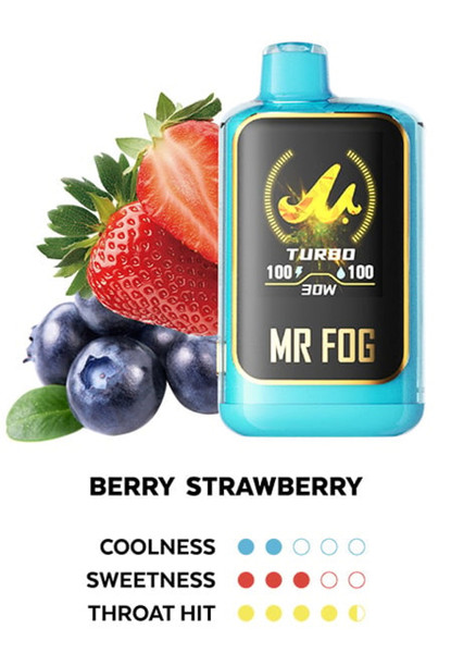 MR. FOG NOVA Berry Strawberry Steezy 36K device displayed at NOVA PUFFS