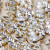 Gold Palm Drop Earrings