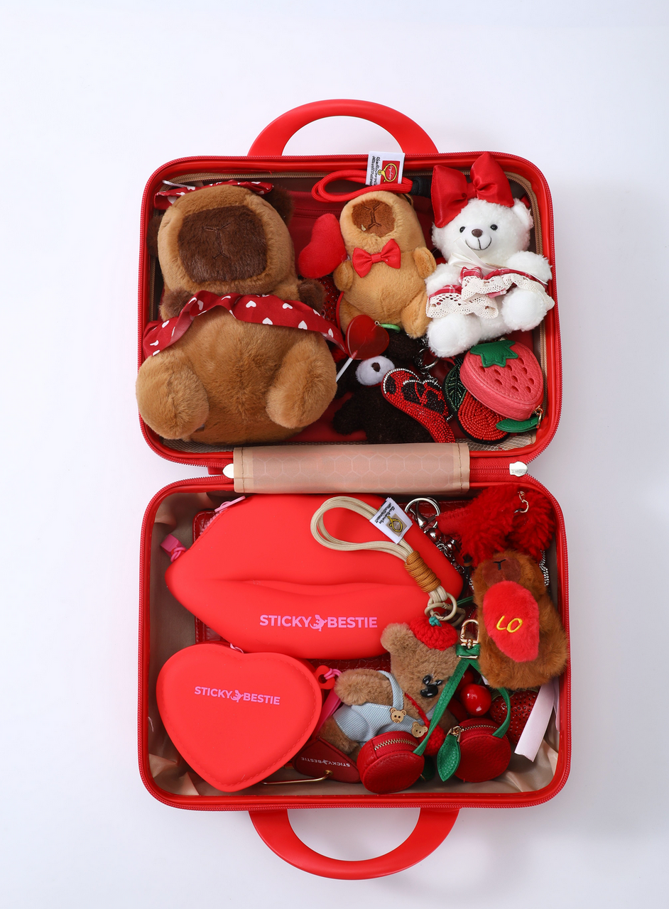 TRAVEL / BEAUTY CASE - RED