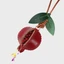 POMEGRANATE CHARM