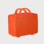 TRAVEL / BEAUTY CASE