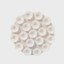 THE ROUNDIE WHITE