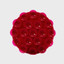 THE ROUNDIE BURGUNDY