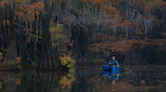 Kayaks