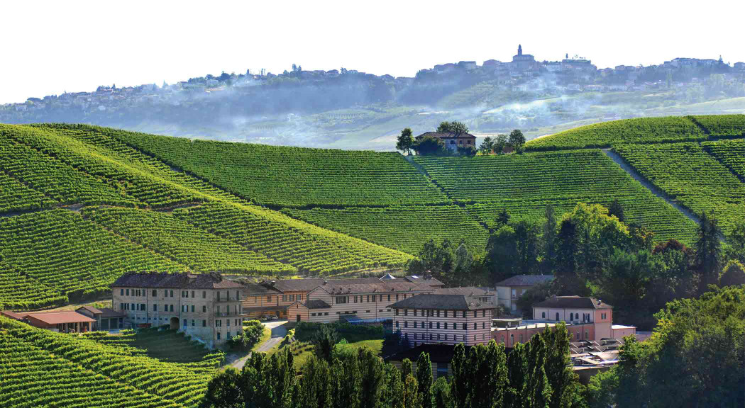 The vineyards of Barolo