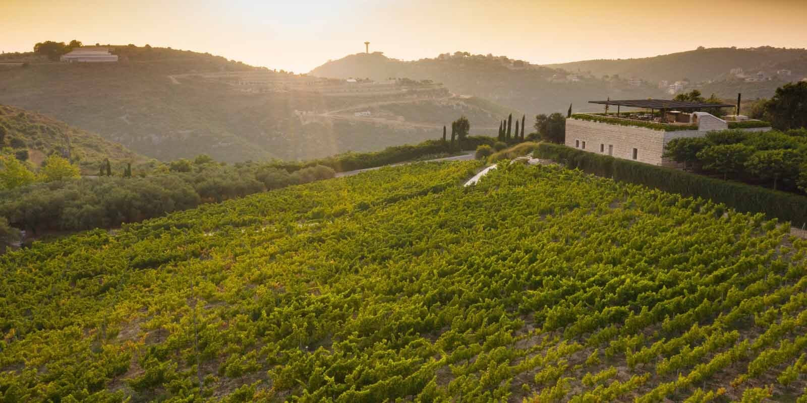 A photo of the Ixsir winery perched on the top of a hill among their Bekaa Valley vineyards