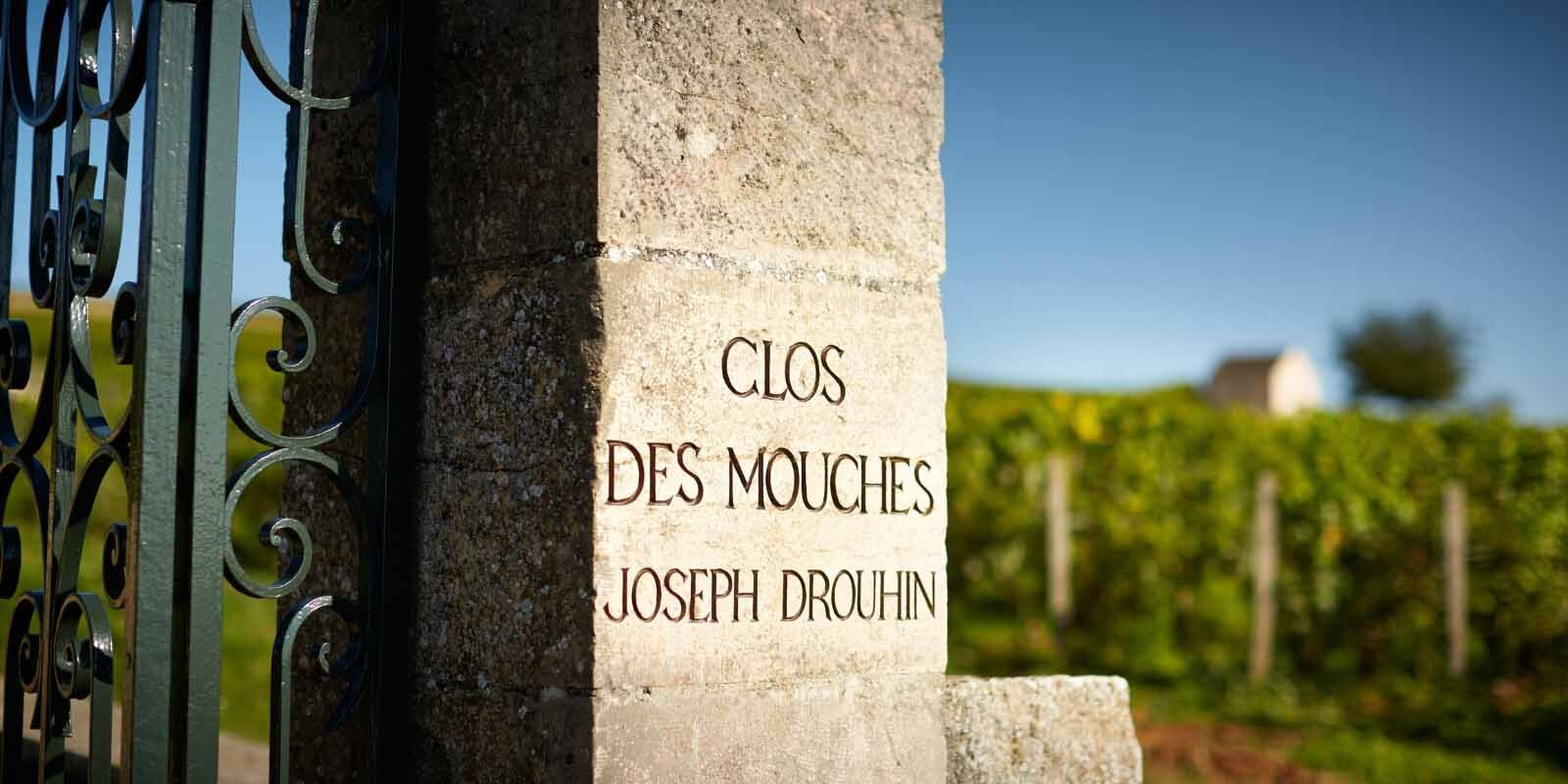 A photo of the entrance gate to Joseph Drouhin's Clos des Mouches vineyard in Beaune