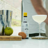 A Toast to Tradition: The Pisco Sour
