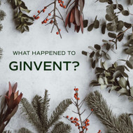 No Ginvent Calendars?