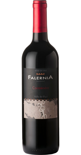 Carménère Reserva 2019, Viña Falernia