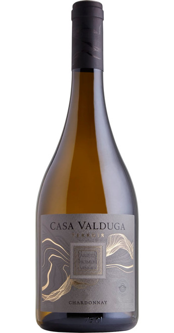 Terrior Chardonnay 2021, Casa Valduga