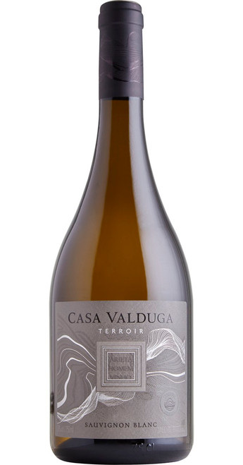 Terrior Sauvignon Blanc 2022, Casa Valduga