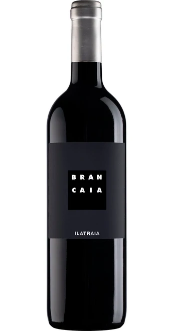 Ilatraia Maremma 2020 Casa Brancaia - 5002.jpg