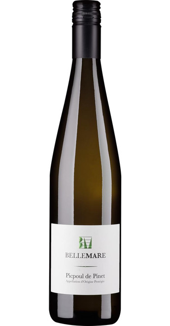 Picpoul de Pinet 13.5% 2024 Domaine de Belle Mare - 7049.jpg