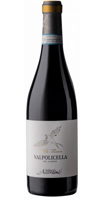 Valpolicella Classico DOC Organic 2024 Accordini - M015.jpg