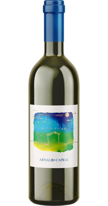 Anima Umbra Grechetto 2025 Arnaldo Caprai - L007.jpg