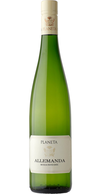 Allemanda Moscato Bianco 2025 Planeta  - A262.jpg