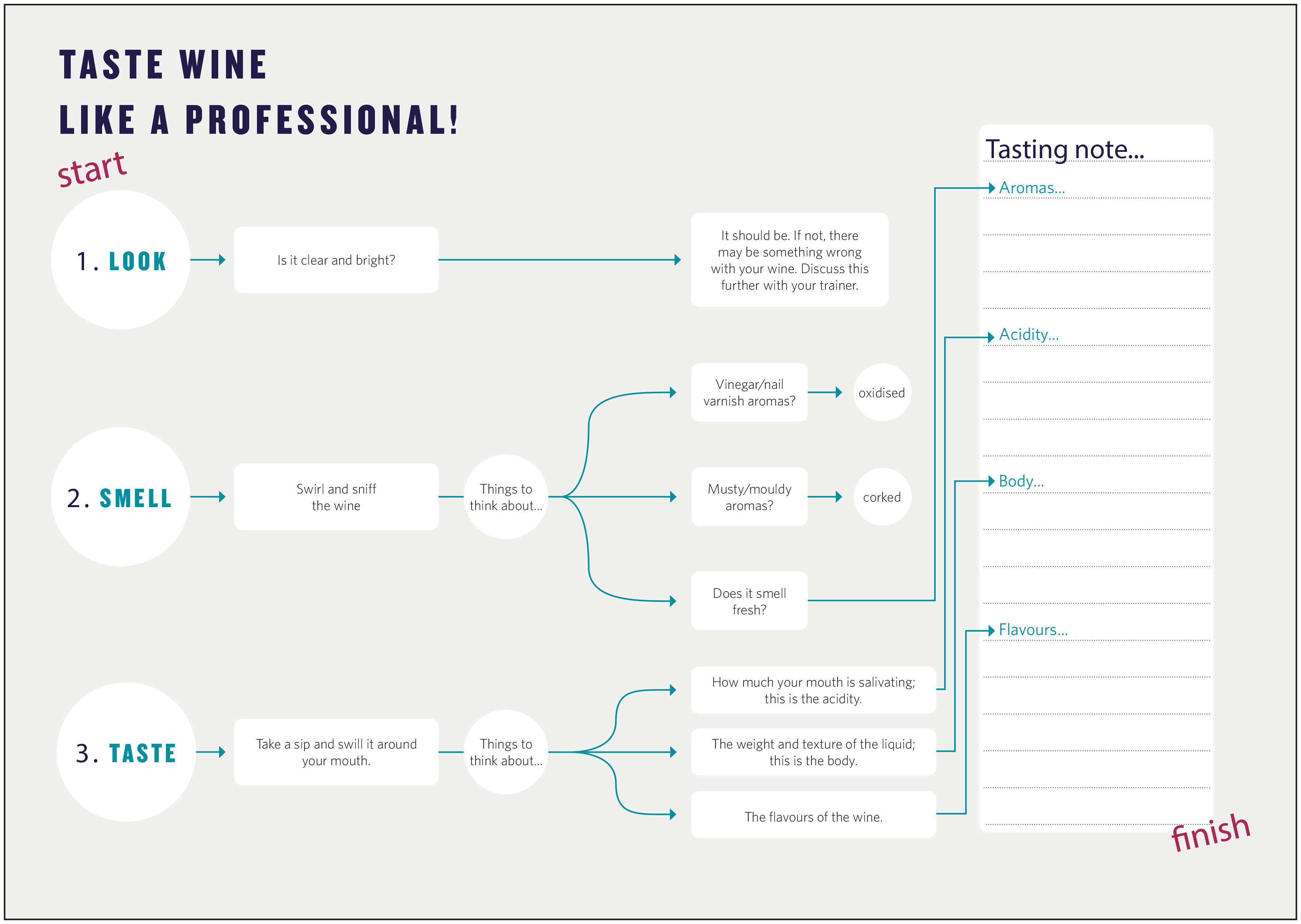 How to taste wine like a professional