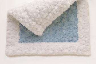 Lovey - Light Blue with White Trim