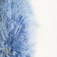 Mongolian Lamb Fur Sheepskin Plate Placid Blue closeup