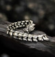 mens gothic bracelet with dragon head design mens gothic bracelet with dragon head design