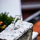 Whisker Charm Silver Cat Ring