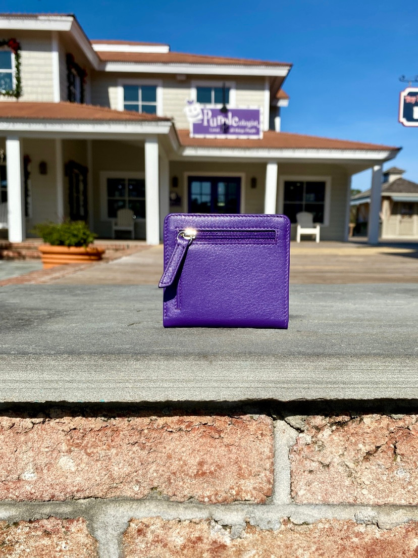 Mini Purple and Moss Green Wallet - Purpleologist