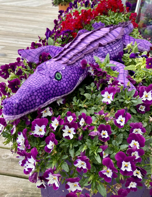 Purple-ator Gator