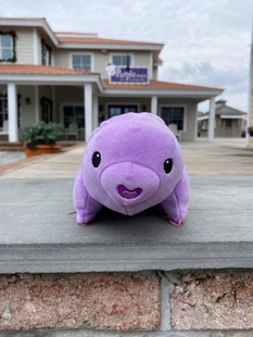 Plush Water Bear - Purpleologist