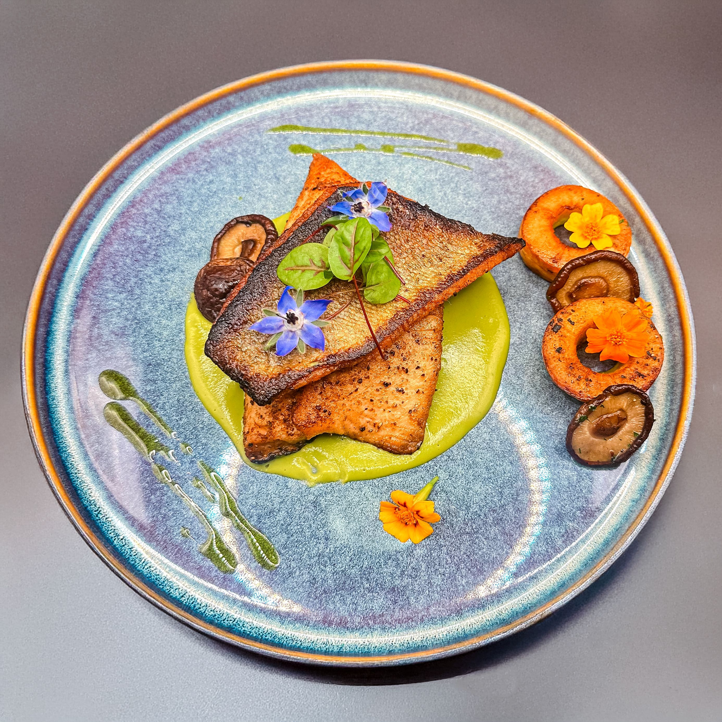 Wild Steelhead Trout 