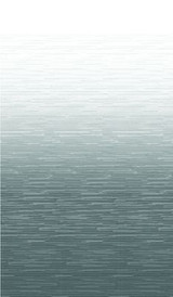 CAREFREE OF COLORADO JU216D00 REPL. FAB SILVER FADE 1PC 21'
