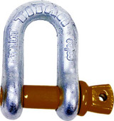 MARTYR ANODES 10319062 SHACKLE-D ANCHOR GALV 1/4IN