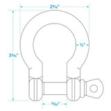 SEACHOICE 43201 ANCHOR SHACKLE - SS - 1/2