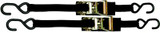 BOATBUCKLE F14209 1INX3FT RATCHET TIE-DOWN PR/PK